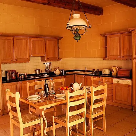 Villa Farmhouse Tibna *